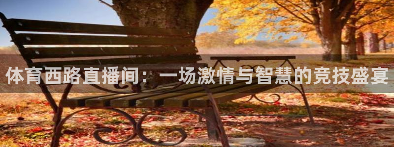 熊猫怎样直播：体育西路直播间：一场激情与智慧的竞技盛宴