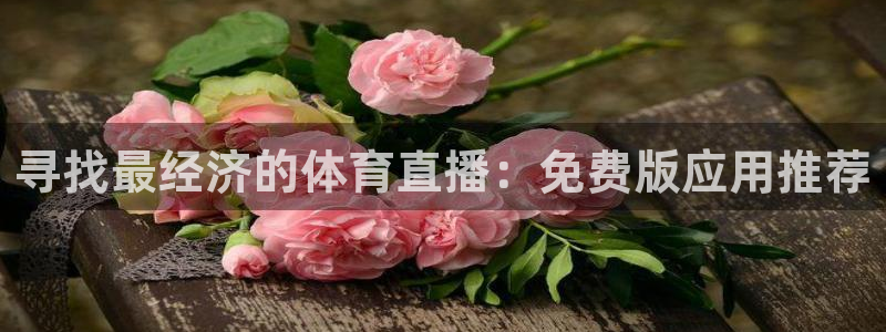 熊猫频道：寻找最经济的体育直播：免费版应用推荐
