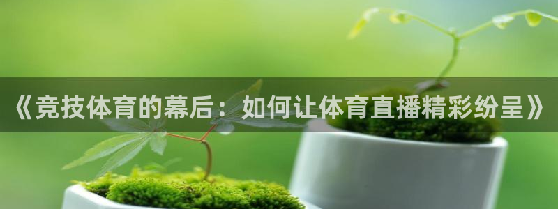 熊猫足球直播：《竞技体育的幕后：如何让体育直播精彩纷呈》