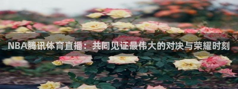 熊猫主题：NBA腾讯体育直播：共同见证最伟大的对决与荣耀时刻