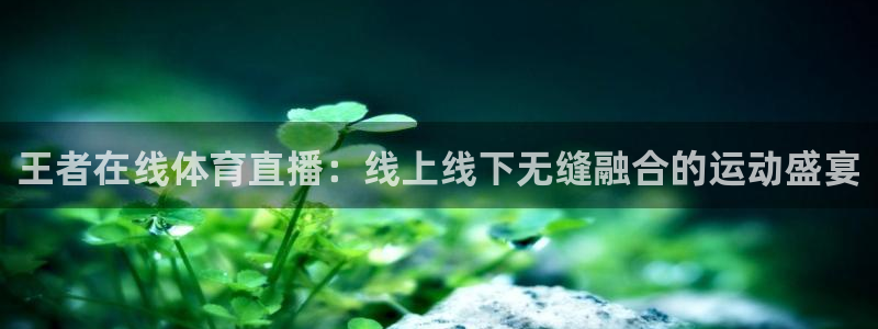 熊猫游戏直播：王者在线体育直播：线上线下无缝融合的运动盛宴