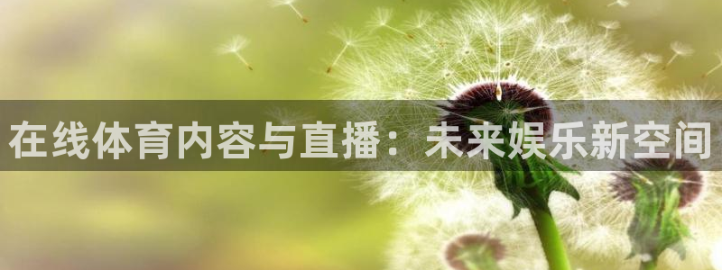 熊猫体育直播nba：在线体育内容与直播：未来娱乐新空间