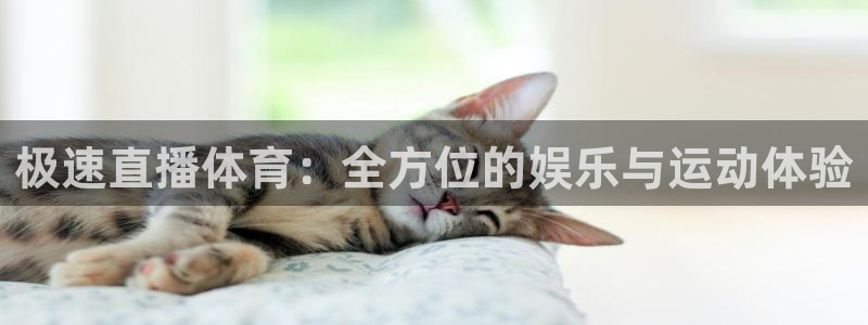 熊猫视频 直播：极速直播体育：全方位的娱乐与运动体验