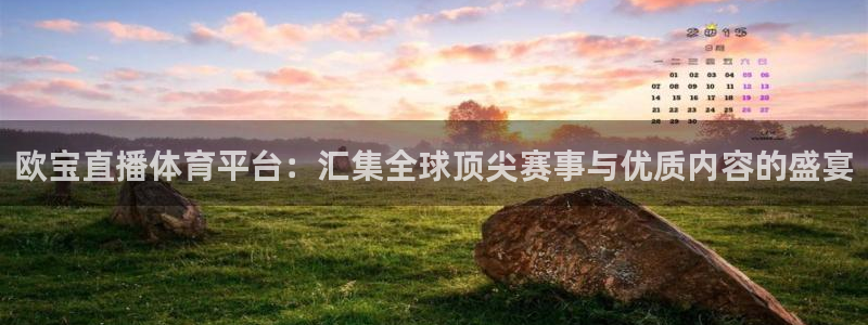熊猫主播：欧宝直播体育平台：汇集全球顶尖赛事与优质内容的盛宴