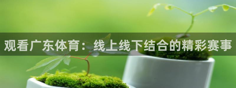熊猫nba直播视频：观看广东体育：线上线下结合的精彩赛事