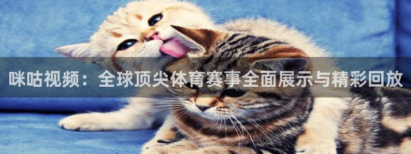 熊猫直播下载官网：咪咕视频：全球顶尖体育赛事全面展示与精彩回放