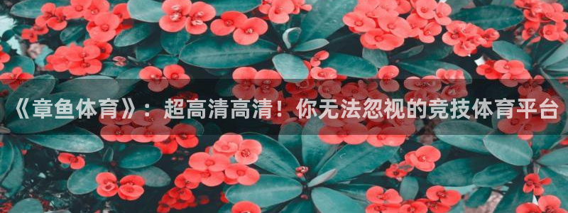 熊猫视频直播在线观看：《章鱼体育》：超高清高清！你无法忽视的竞技体育平台